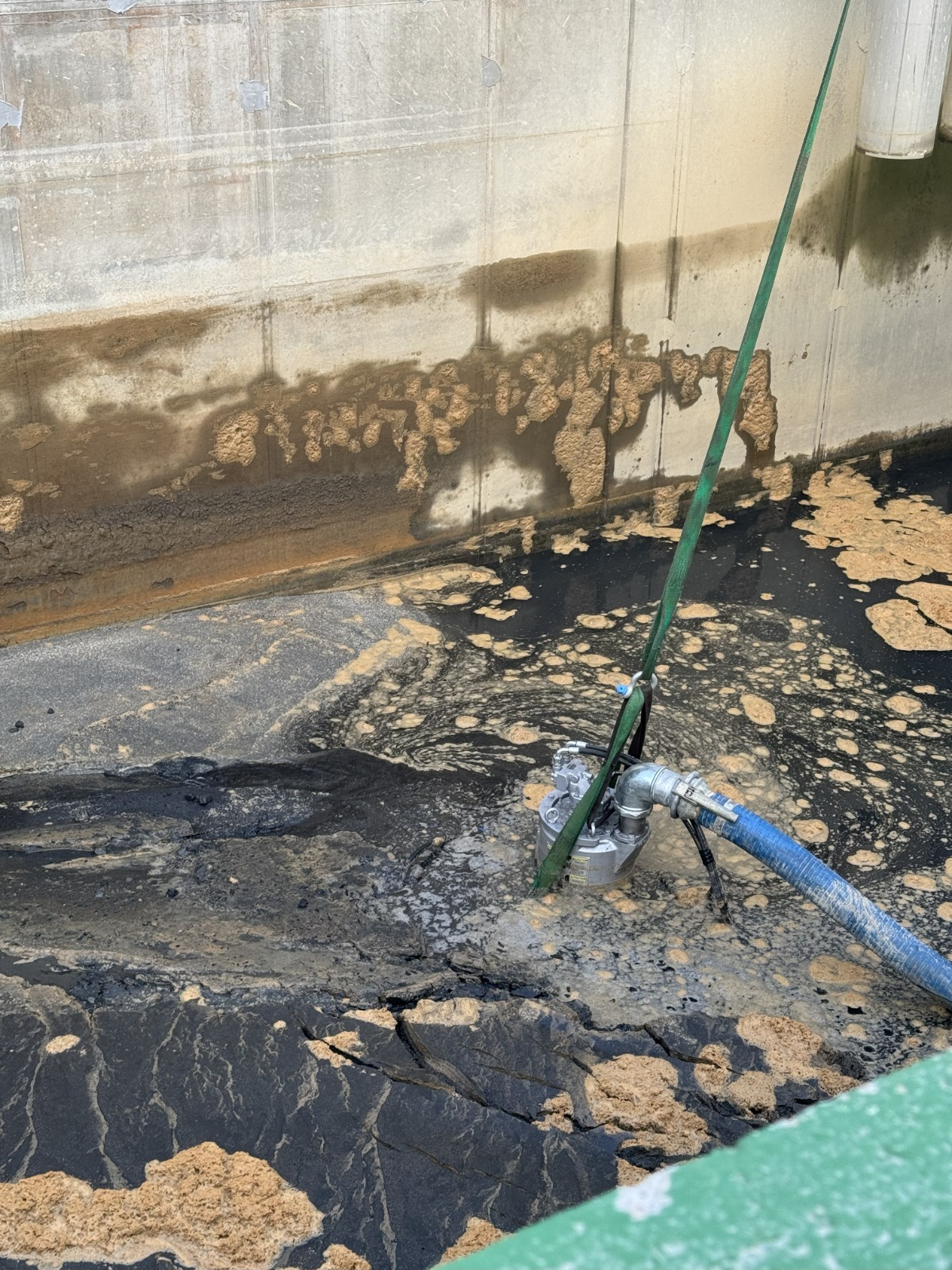 Robot anfibio - robotanfibio3