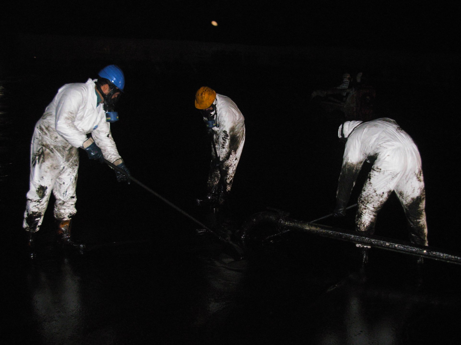 Lavoro Ecosys - DSCN0186