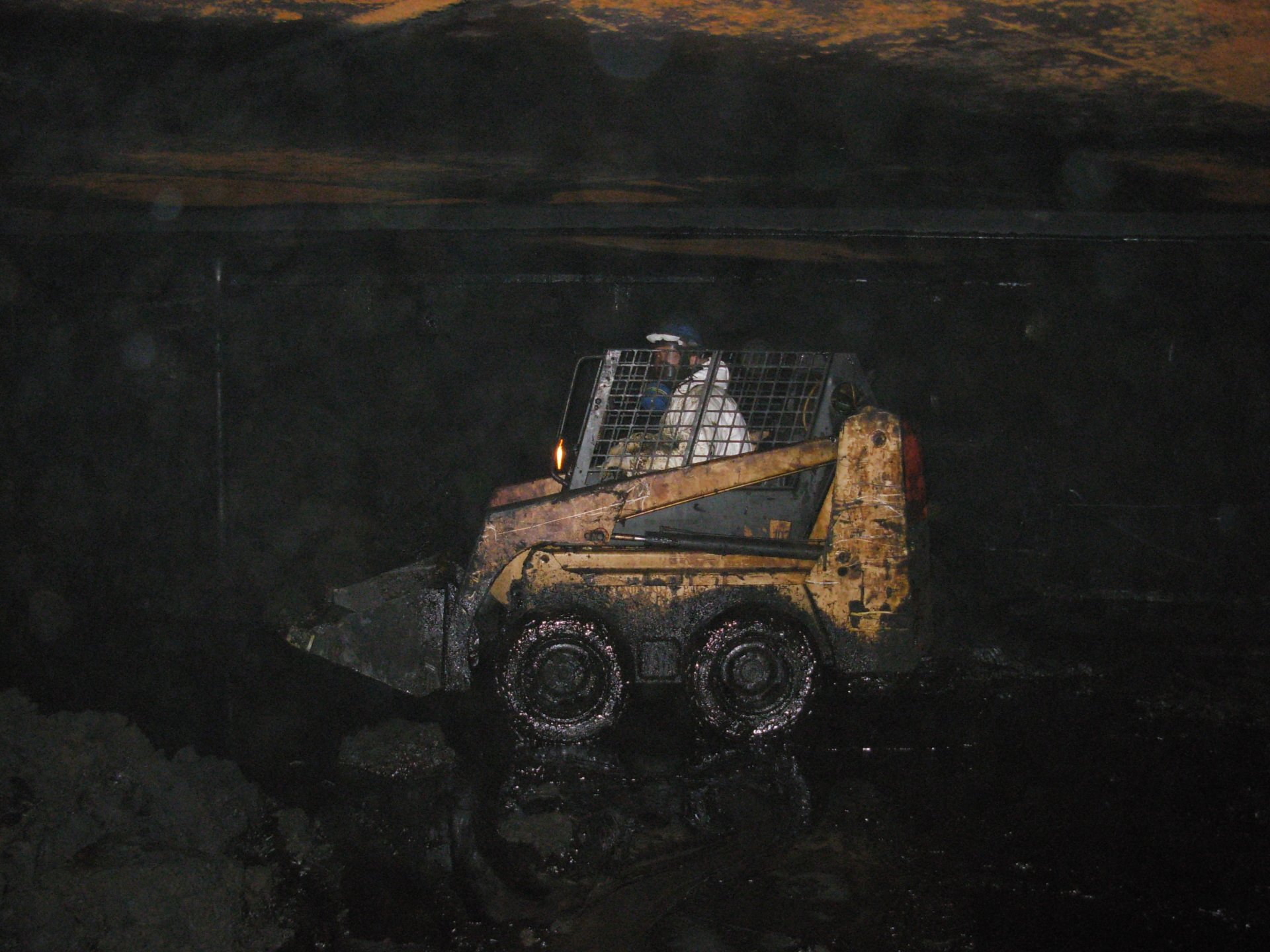 Lavoro Ecosys - DSCN4700