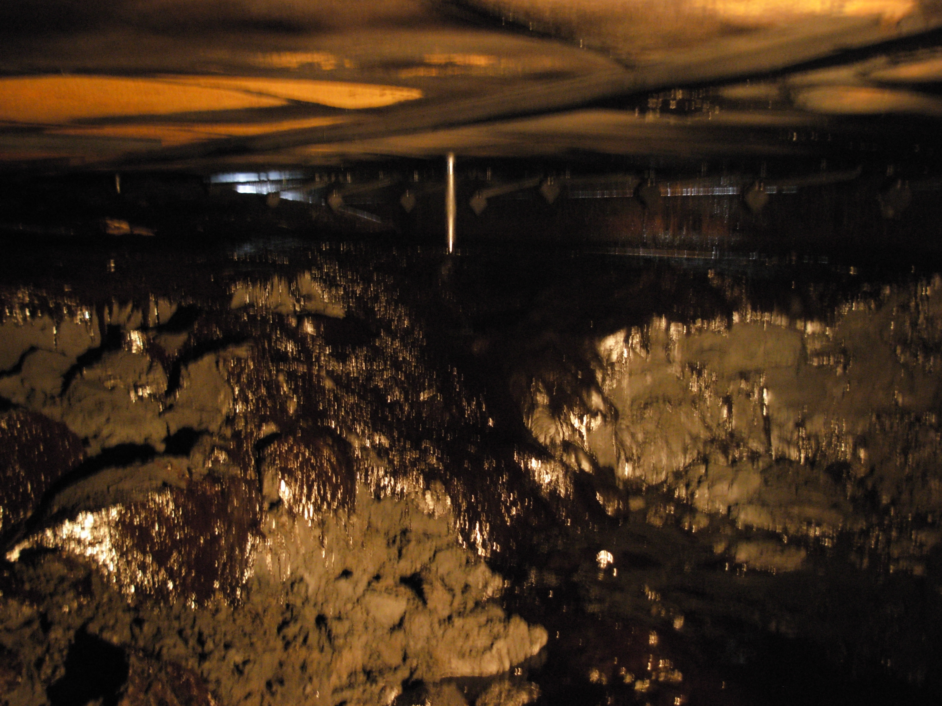 Lavoro Ecosys - DSCN4703