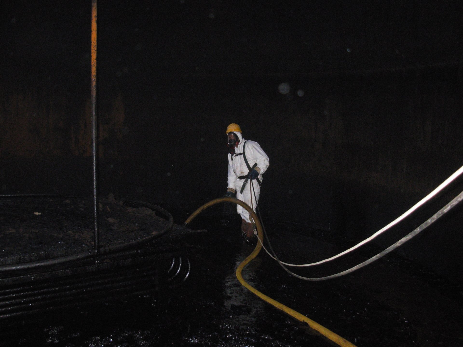 Lavoro Ecosys - DSCN5048