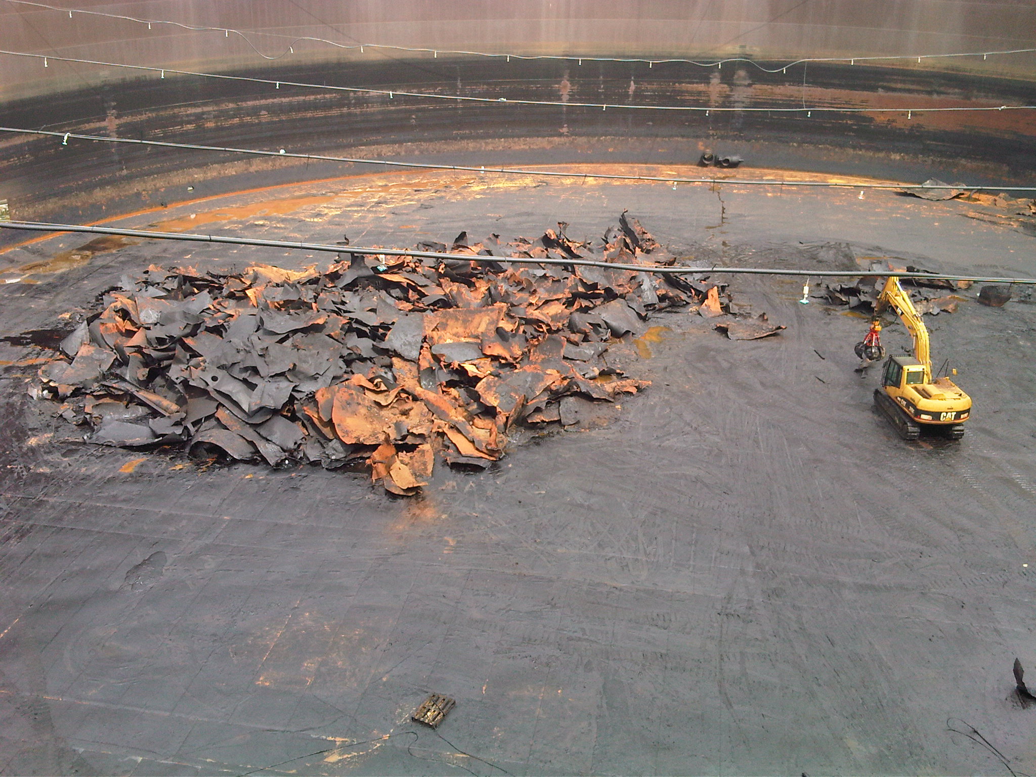 Lavoro Ecosys - IMG00011 20100324 1105