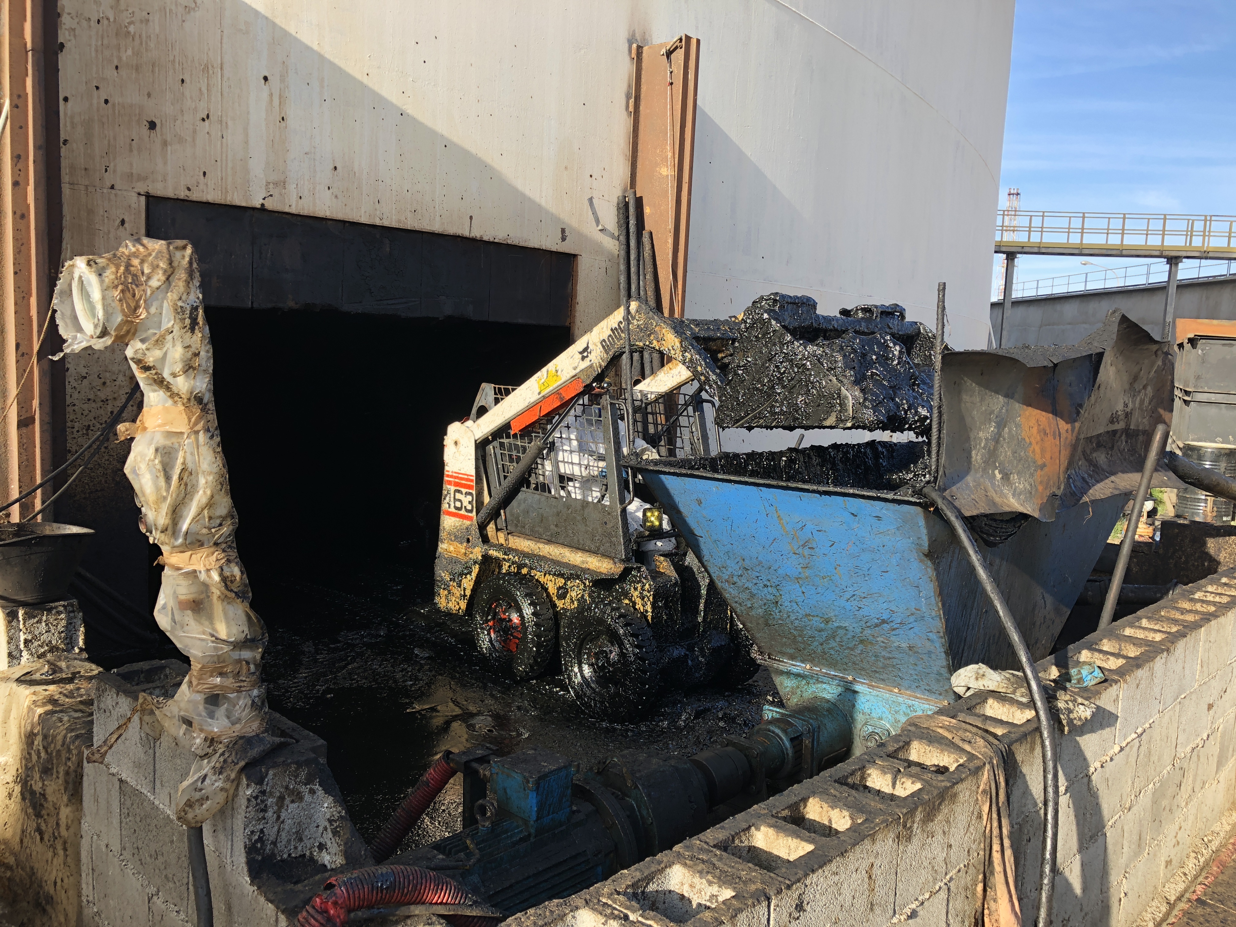 Lavoro Ecosys - IMG 1272