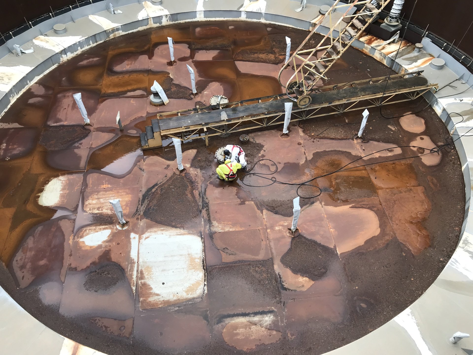 Lavoro Ecosys - IMG 1449