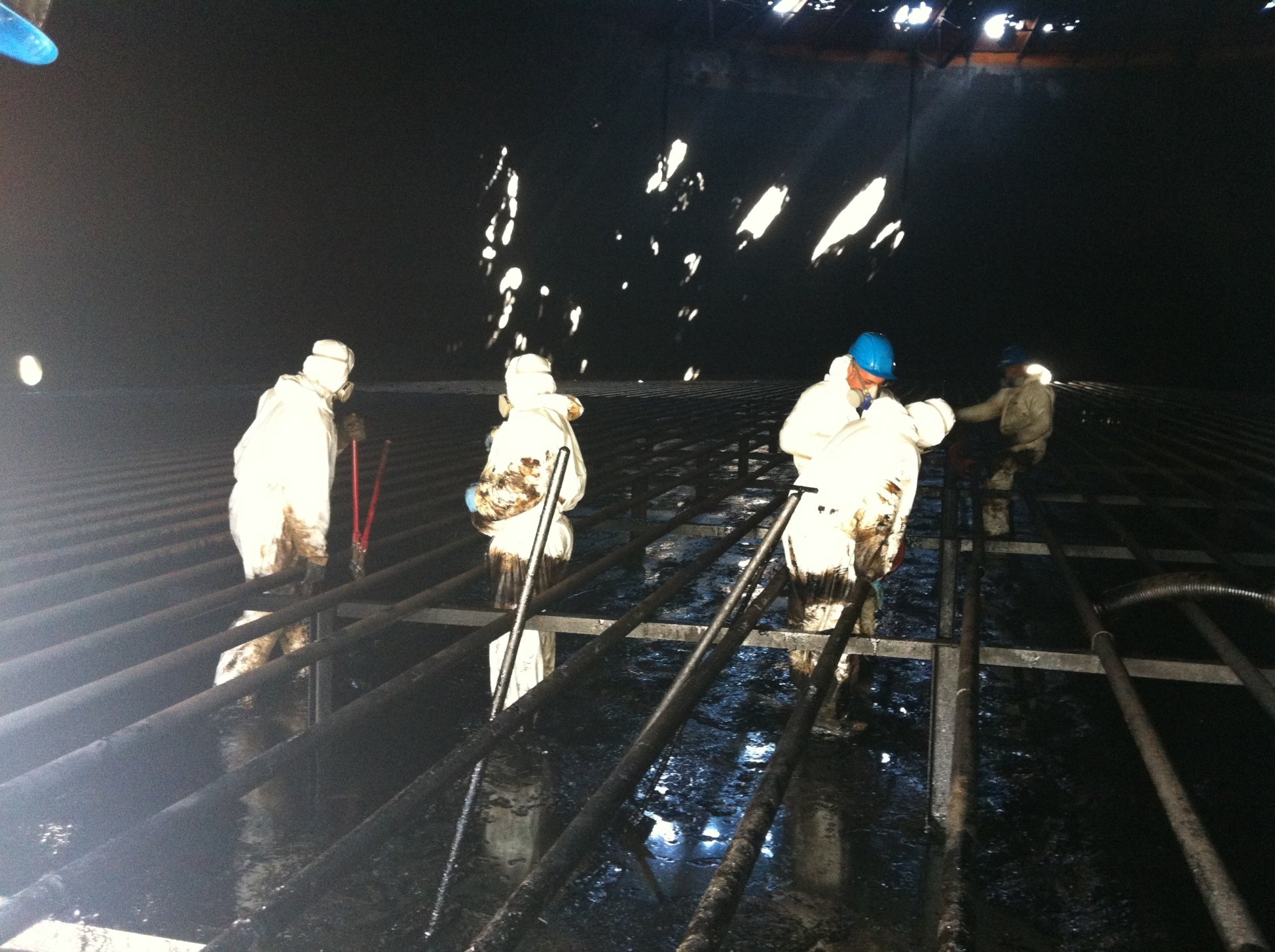 Lavoro Ecosys - IMG 1803