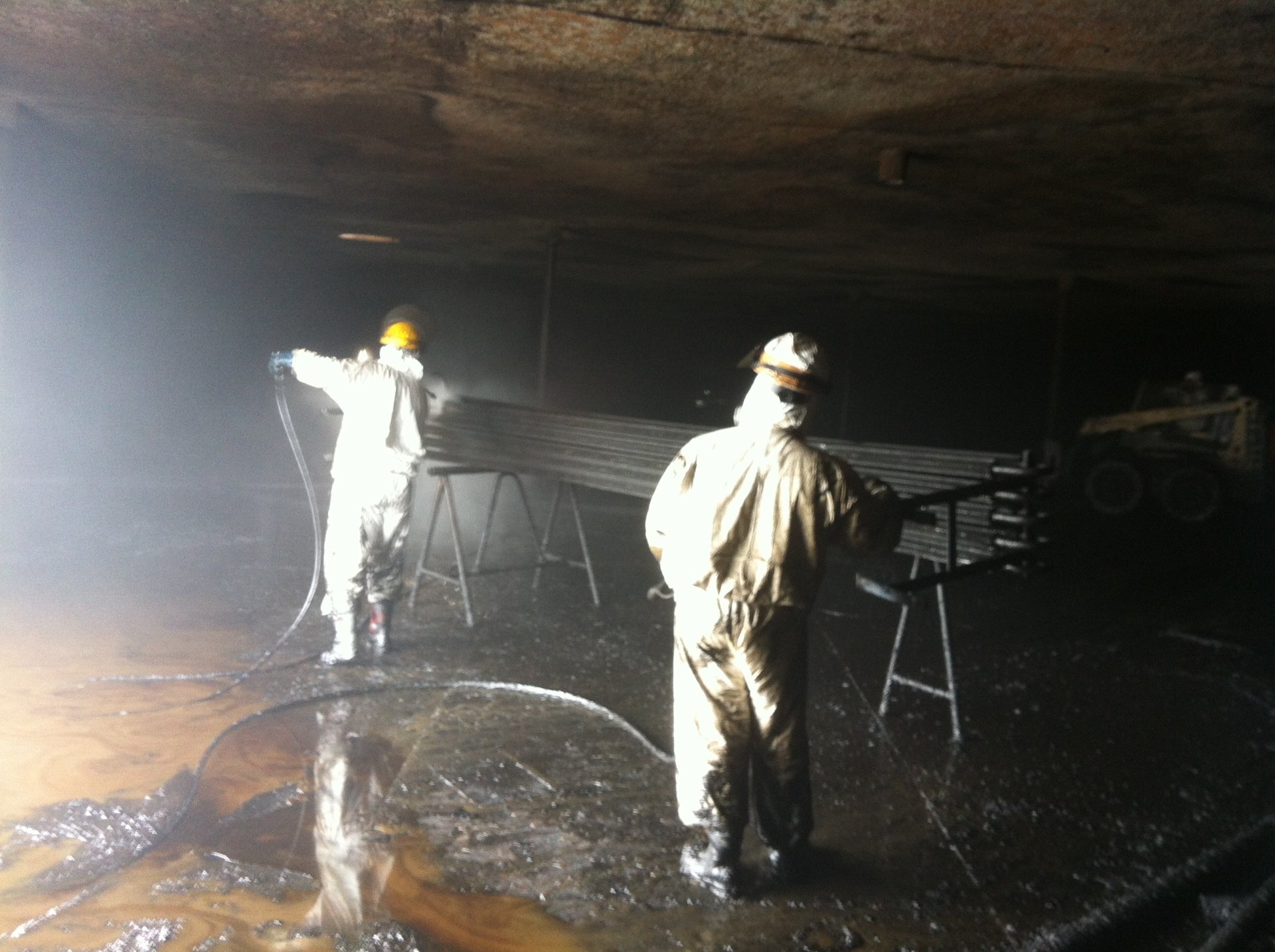 Lavoro Ecosys - IMG 1956