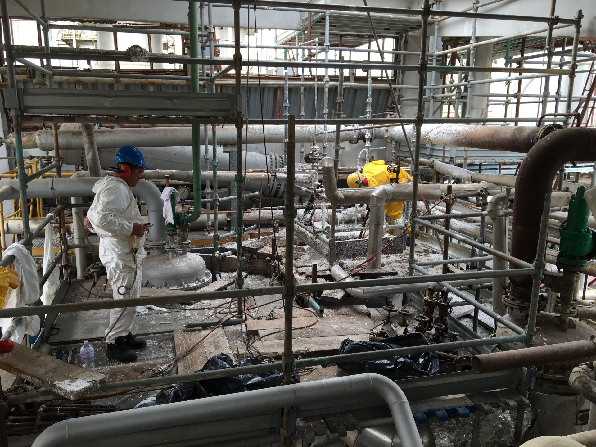 Lavoro Ecosys - IMG 6882