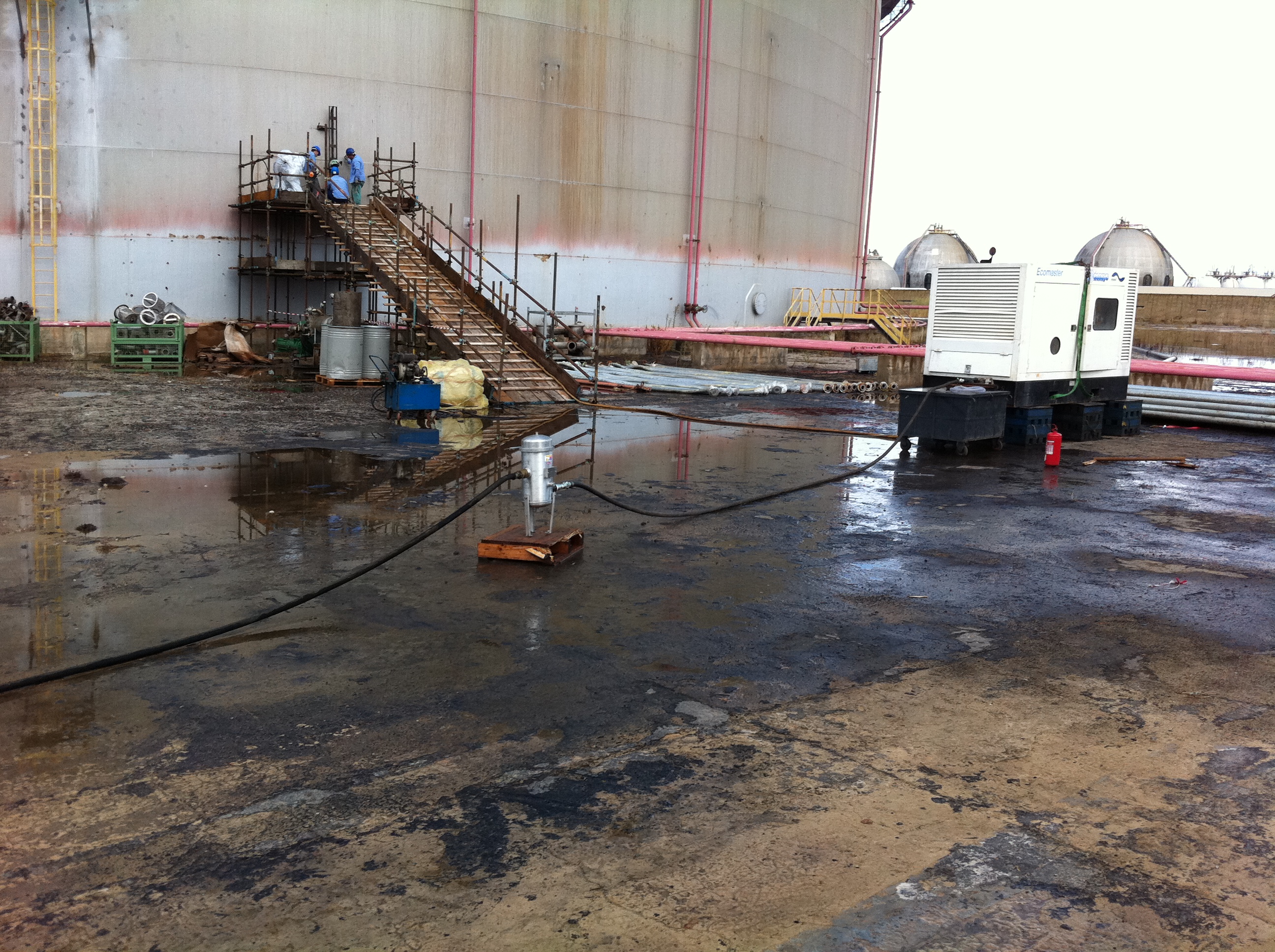 Lavoro Ecosys - Immagine 124