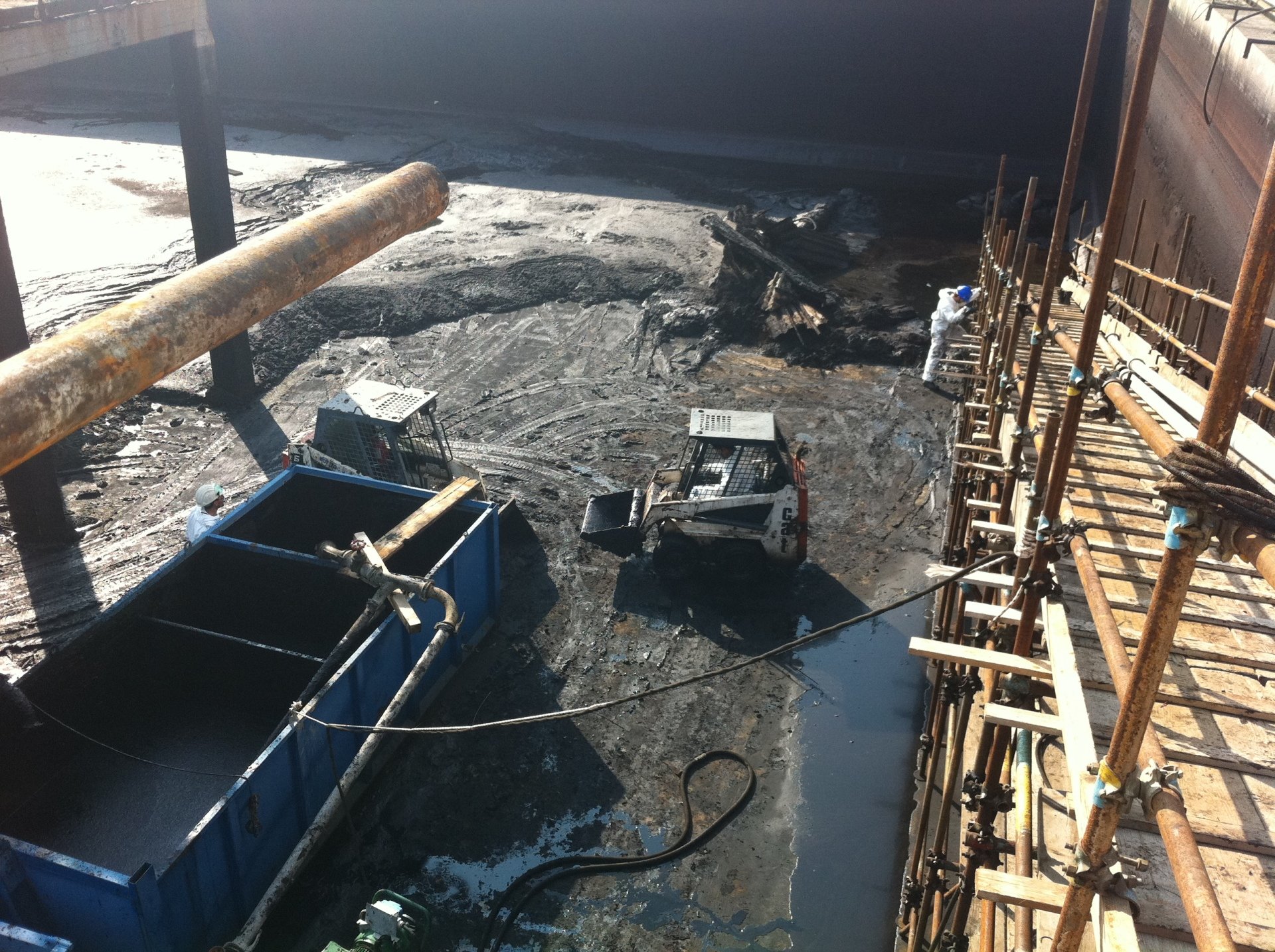 Lavoro Ecosys - Immagine 197