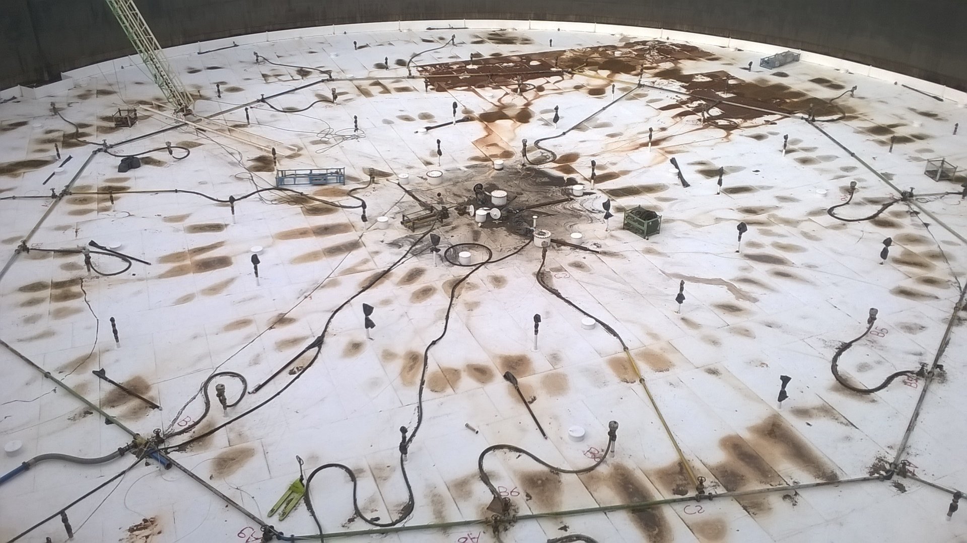 Lavoro Ecosys - WP 20150619 08 28 45 Pro